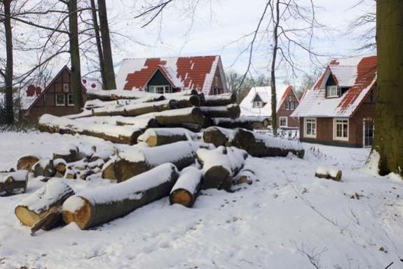 Schnee auf Bäumen | Ferienresort Bad Bentheim